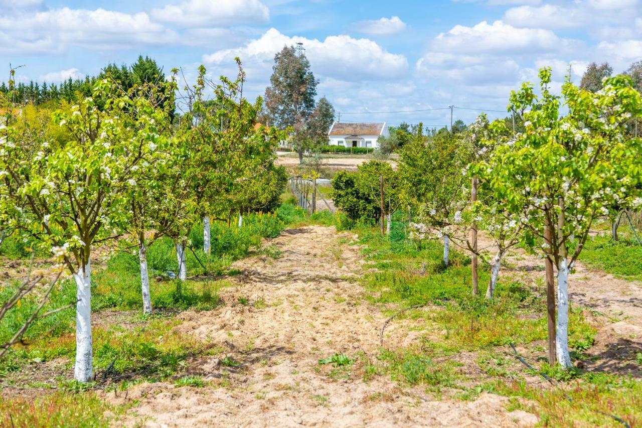 Chitaka'S Organic Farmhouse In Ribatejo Santo Estevao  Esterno foto